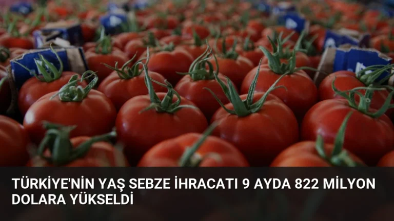 Türkiye’nin Yaş Sebze İhracatı 9 Ayda 822 Milyon Dolara Yükseldi